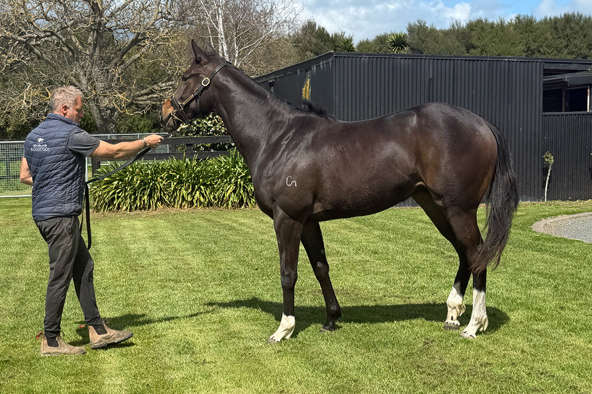 Eminent Filly Oct V1 1st