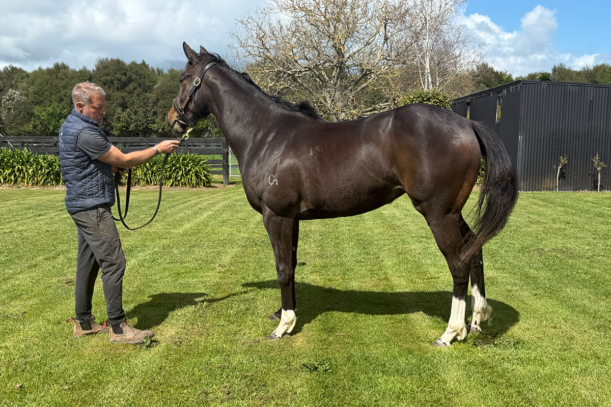Eminent Filly V2 1st Oct