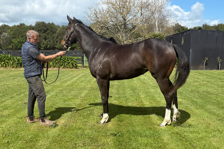 Eminent Filly V2 1st Oct