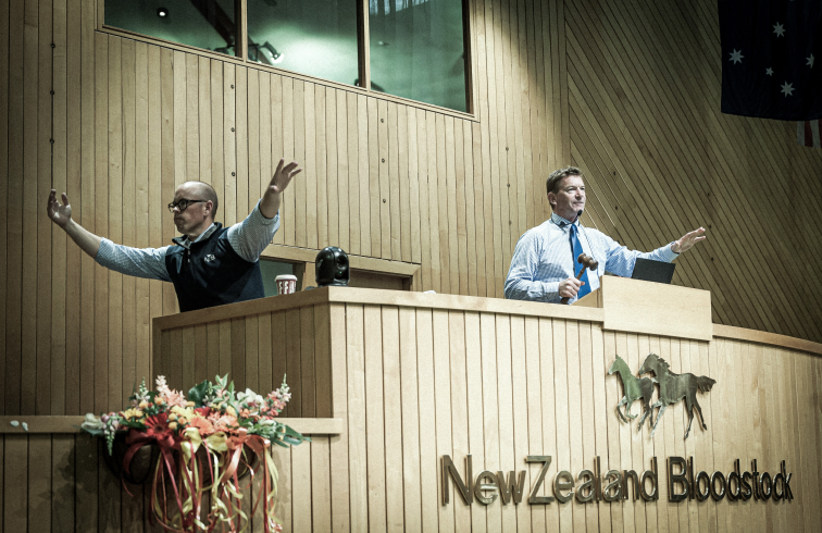 Kingmakers Superior New Horses