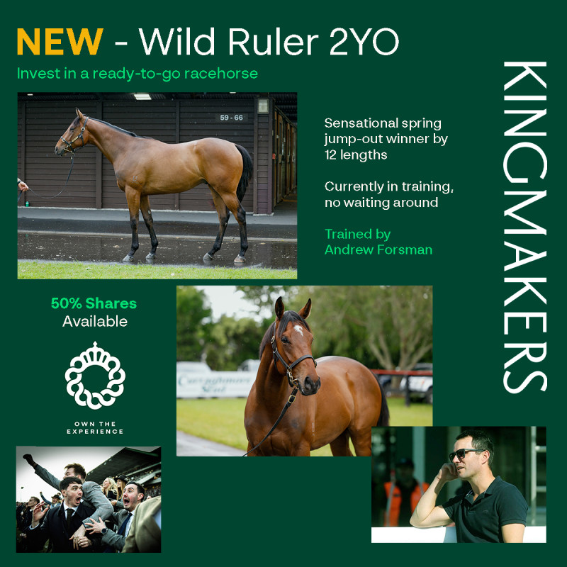 Pop Up Test Wild Ruler 2