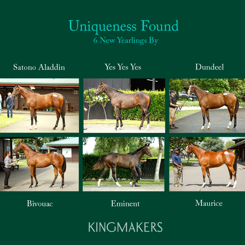 Uniqueness Found Pop Up