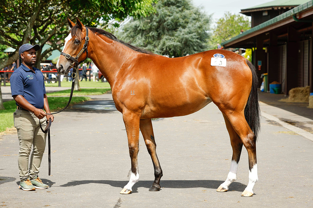 Maurice Website Photo Standing 1200x800