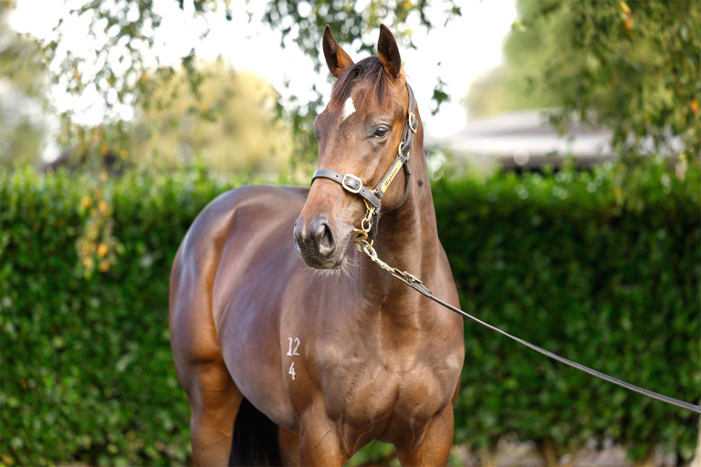 Yes Yes Yes Website Photo 1200x800